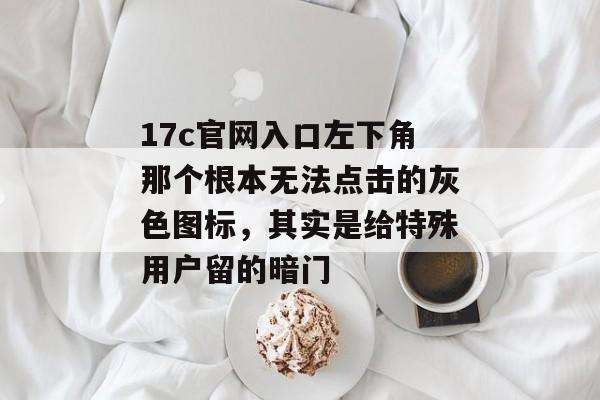 17c官网入口左下角那个根本无法点击的灰色图标，其实是给特殊用户留的暗门
